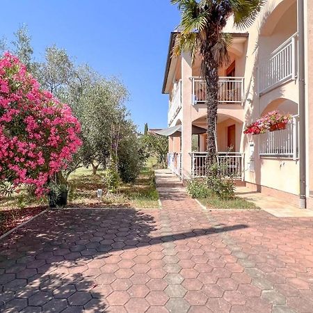 Viola Three Apartment Новиград Екстериор снимка
