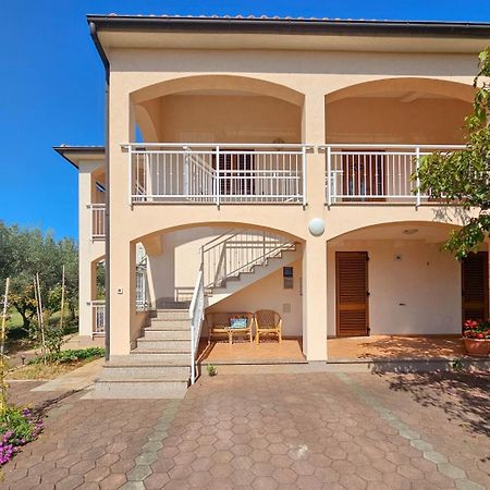 Viola Three Apartment Новиград Екстериор снимка