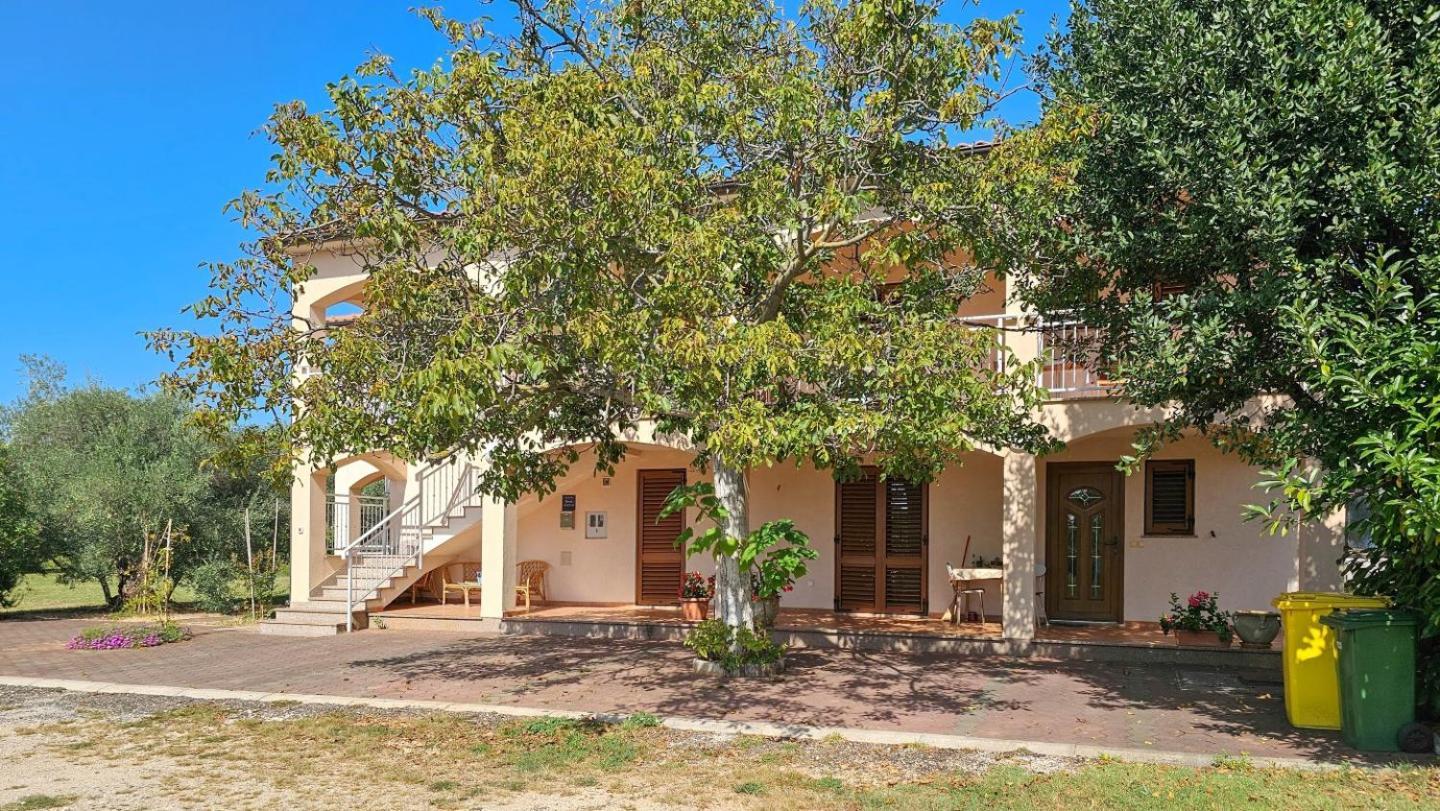 Viola Three Apartment Новиград Екстериор снимка
